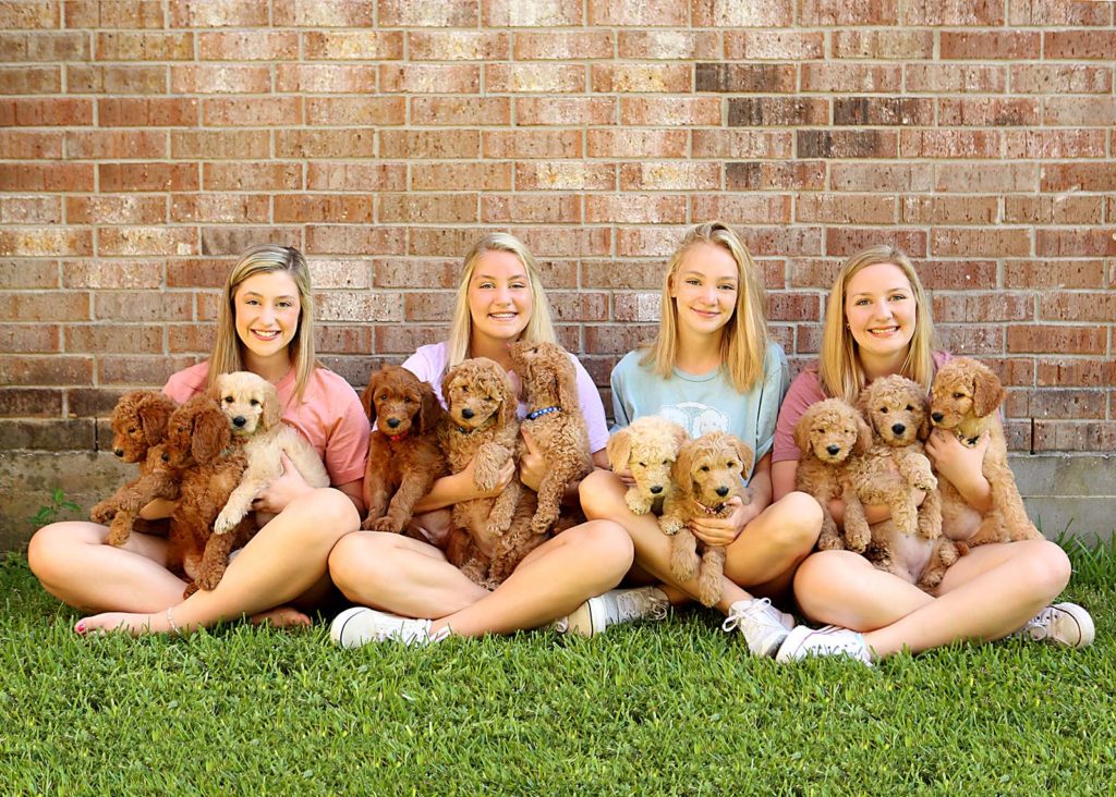 Misty Green's Daughters with Doodle Puppies.